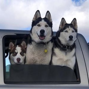 Meet your Posher, Patti